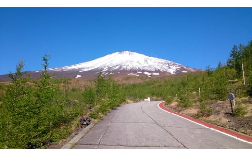 P36富士山・三国山・明神山・金時山のガイド利用券（ガイド1名×1日分）