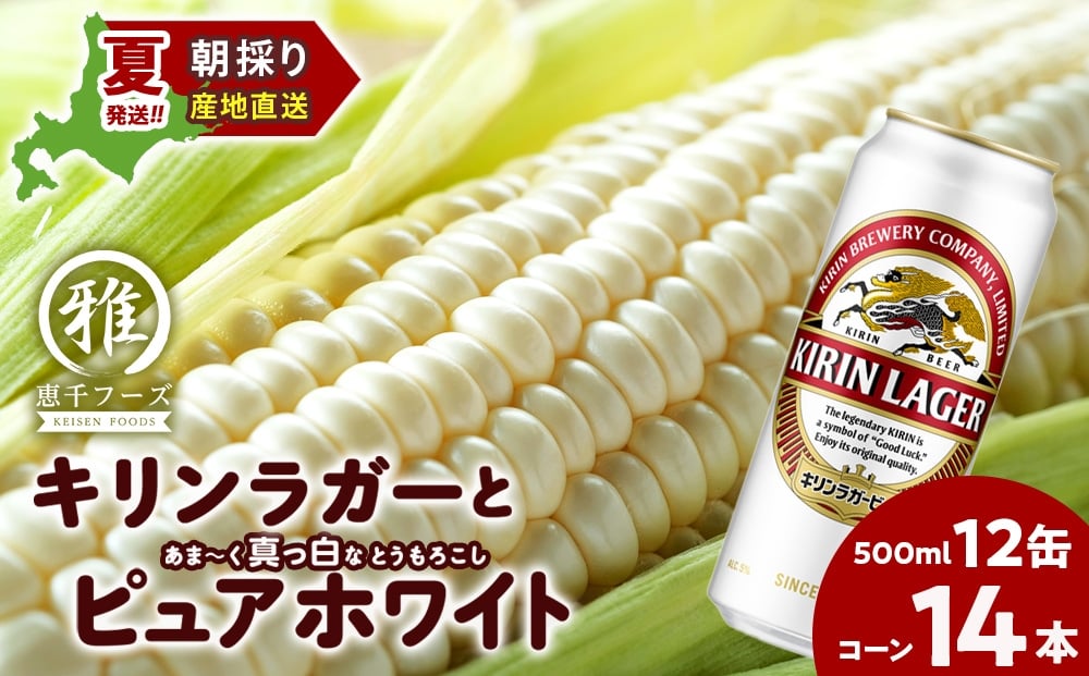 
            2026年夏発送 キリンラガービール 500ｍl 12缶＆白いとうもろこしピュアホワイト14本
          