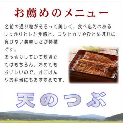 ふるさと納税 田村市 【玄米】 田村市産天のつぶ10kg(5kg×2袋)【令和7年産】 |  | 03