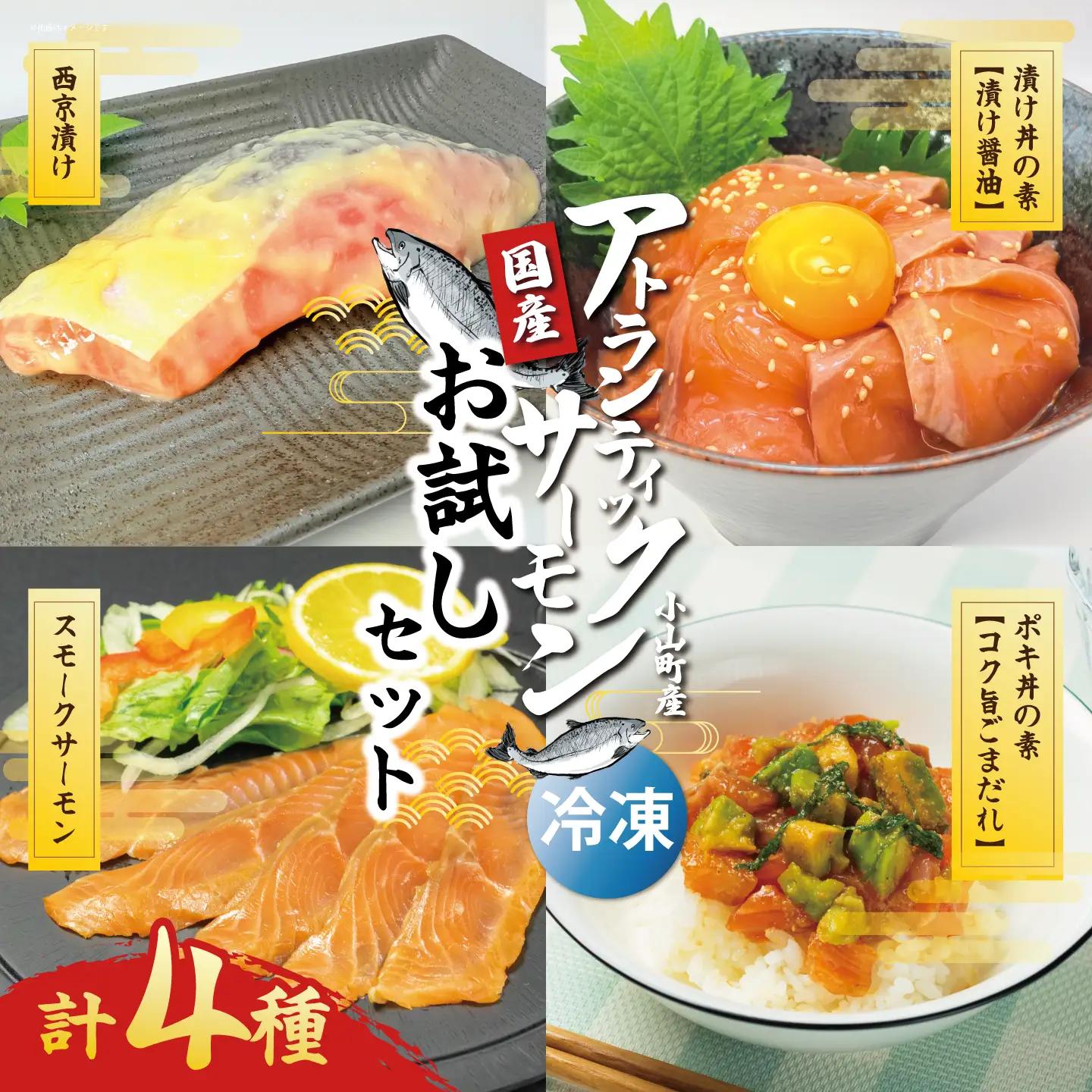 小山町産アトランティックサーモン（冷凍）お試しセット（サーモンブロック無し）