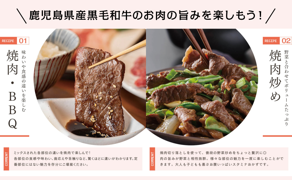 【鹿児島県産】A5等級黒毛和牛 焼肉 切り落とし計1kg（250g×4P） 国産牛 牛肉 国産 焼き肉 カミチク 切落し おまかせ BBQ バーベキュー アウトドア 丼 プレート 小分けパック 冷凍