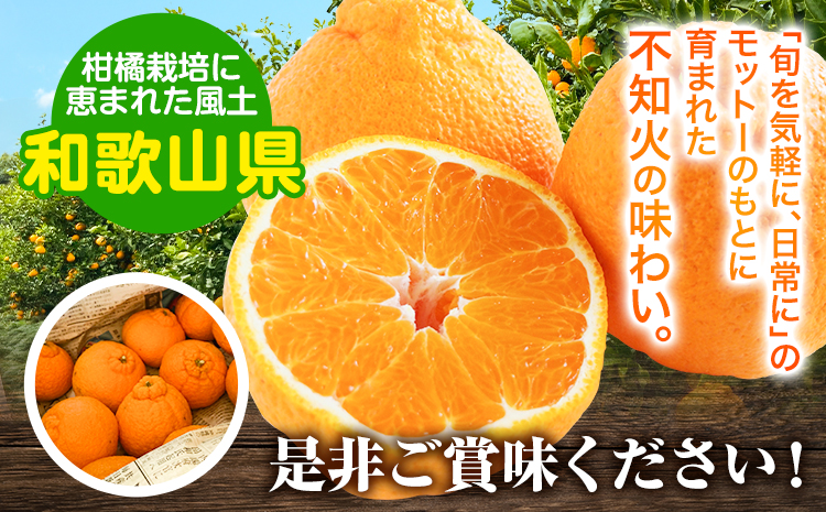露地栽培の甘い 不知火 (デコ) 6玉 約1.5kg きよ農園《2025年2月中旬-3月末頃出荷(土日祝除く)》和歌山県 日高町 柑橘 不知火 しらぬい デコポン と同品種 フルーツ 果物 スイーツく