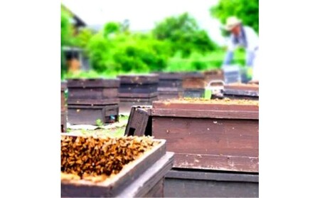 はちみつ 訳あり 巣蜜（約100g前後） 天然 国産 天然はちみつ 天然蜂蜜 天然ハチミツ 国産はちみつ 国産蜂蜜 国産ハチミツ 巣みつ 蜂蜜 ハチミツ 純蜂蜜 純ハチミツ フルーティー ハニー 限定