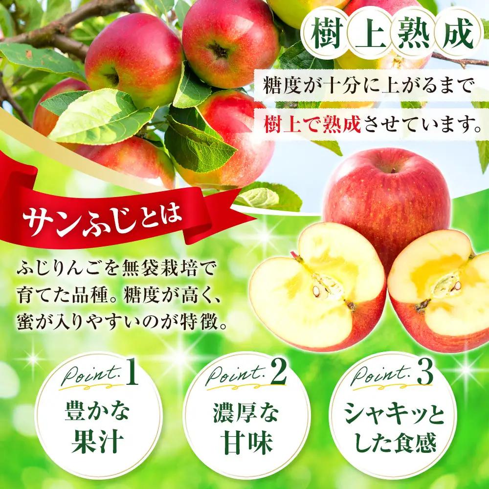 フルーツファーム中村農園　【11月下旬発送 先行予約】樹上熟成　サンふじ 3kg | りんご サンふじ 樹上熟成 糖度