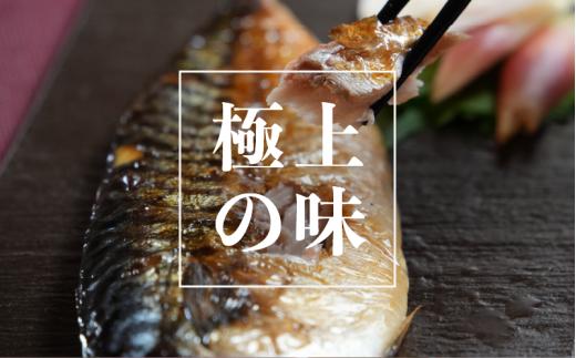 寒鯖 一夜干し 10枚 干物 ひもの サバ 鯖 塩鯖 塩さば 鯖フィーレ 魚 海鮮 魚貝 魚介 おかず 酒 のあて おつまみ 小分け 個別冷凍 弁当 塩 惣菜 食品 冷凍食品 お取り寄せ グルメ ギフト 食品 贈り物 贈答 ふるさと納税 送料無料 ふるさと納税鯖 千葉県 銚子市 甲印小西商店