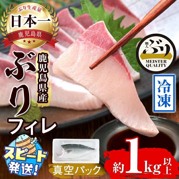 【ふるさと納税】＜すぐ届く！＞鹿児島産冷凍ぶりフィレ(1kg以上・半身1枚)ぶり ブリ 鰤 魚 海鮮 魚介 刺身 さしみ しゃぶしゃぶ 焼魚 煮魚 フィレ フィーレ 半身 片身 国産 鹿児島県産 垂水市産 冷凍 養殖 ぶり職人【アクアブルー】A1-47179