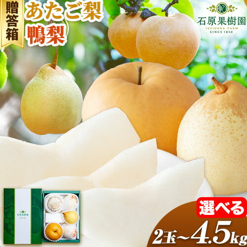 【ふるさと納税】【先行予約】梨 なし 梨 旬 あたご梨 鴨梨 選べる内容量 贈答箱 石原果樹園 《2025年11月中旬-1月上旬頃出荷》岡山県 浅口市 果物 フルーツ 梨 詰め合わせ 贈答用