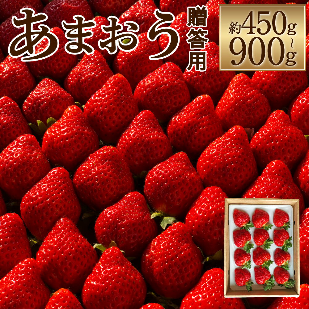 【ふるさと納税】特別栽培の濃厚完熟あまおう 贈答用 約450g/約900g 選べる内容量 いちご イチゴ 苺 くだもの 果物 フルーツ 福岡県産 九州産 パック 冷蔵 化粧箱入り ギフト 贈りもの 送料無料【2026年1月上旬～3月下旬に順次発送予定】