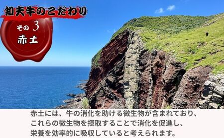 限定30セット【知夫里島】経産牛サーロインステーキ３００g ステーキ 牛肉 経産牛 放牧 黒毛和牛 国産 サーロイン 赤身