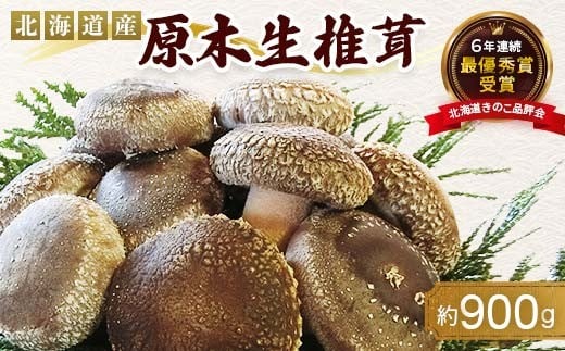 
            原木栽培 生椎茸 約900g しいたけ 肉厚 野菜 北海道 今金町 北海道知事賞受賞 F21W-259 クラウドファンディング 実施中 GCF
          