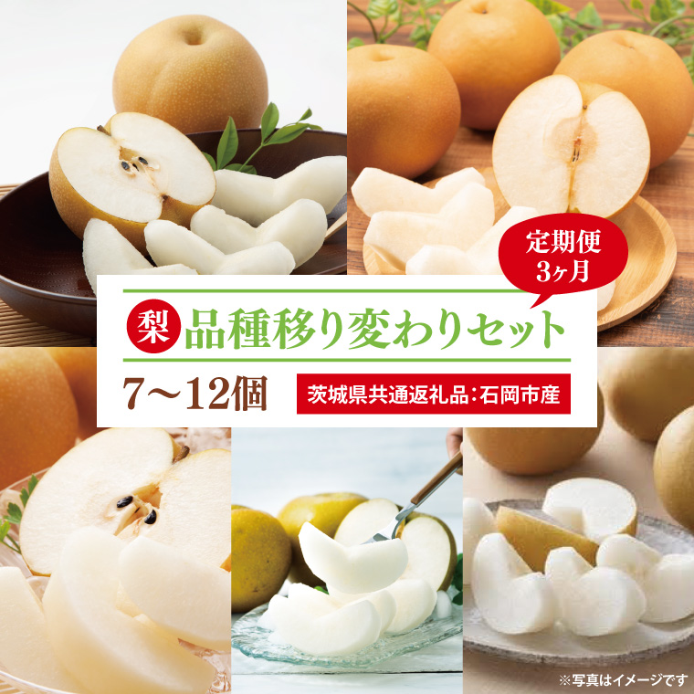 【3回定期便】【2025年8月より発送】梨 5kg（7～12個）品種移り変わりセット（茨城県共通返礼品：石岡市産）|梨 なし 果物 くだもの フルーツ 定期便 数量限定 先行予約 石岡市産 共通返礼品 茨城県 大子町（CD202）