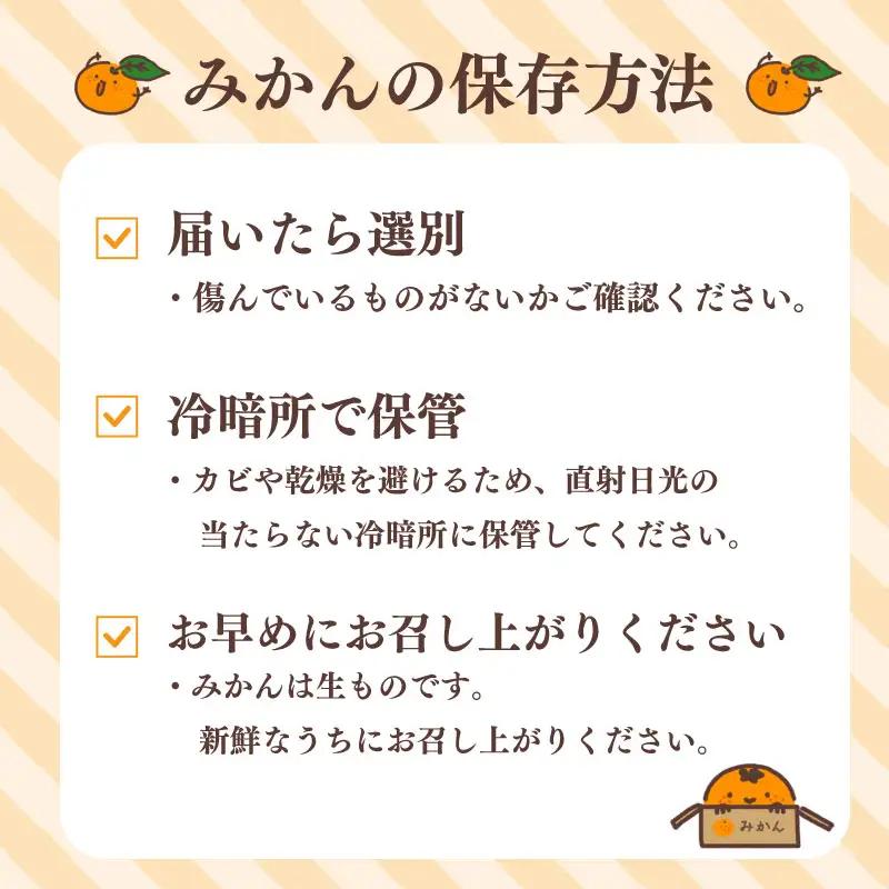 【訳あり】早生みかん 5kg 日南 minorien 静岡 牧之原