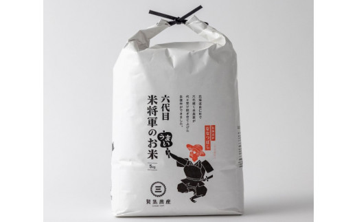 C19　無洗米　令和８年産　ななつぼし　５kg×６回【定期便】