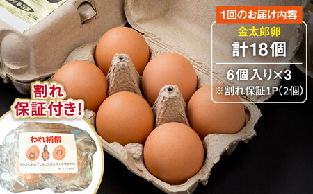 ＼月2回発送／【TVで紹介！】【鮮度ＡＡ級の世界最高ランク！】金太郎卵 平飼い たまご 計36個(18個×月2回)＜有限会社フジノ香花園＞那珂川市[GAM037]