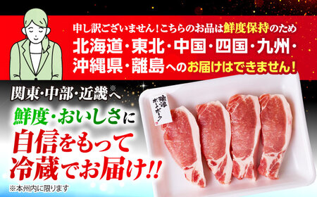【6回定期便】 ※冷蔵配送/地域限定※ 岐阜県産 豚 瑞浪ボーノポーク ロースステーキ 1kg まんぷくセット 瑞浪市 / きなぁた瑞浪[AZCI063]