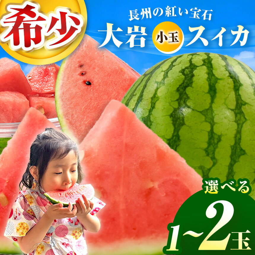 【ふるさと納税】甘くて 果肉 たっぷり！ 大岩 こだま スイカ 1玉 ~ 2玉 「 神秘の里 大岩郷 よりお届け 長州の紅い宝石 」 先行予約 ＜ 2026年 7月下旬 〜 8月頃 発送予定 ＞ | スイカ 小玉 小玉スイカ ブランド フルーツ 夏 果物 果実 山口 美祢 期間限定
