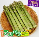 【ふるさと納税】【数量限定】白糠町産アスパラガス【選べる!! M～L混合／2L以上 1kg】 ふるさと納税 北海道