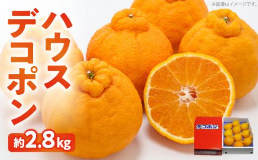 高松産季節の果物＜ハウスデコポン＞約2.8kg【2026年12月中旬～2027年3月中旬配送】 372013_T006-030J