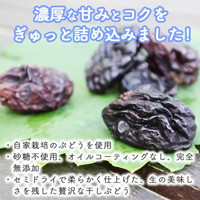 【秀果園】ぶどう農家のセミドライぶどうミックス500g ×1袋｜巨峰、シャインマスカット、ナガノパープルなど レーズン ドライフルーツ 無添加 砂糖不使用