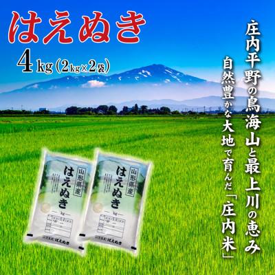 ふるさと納税 酒田市 【令和7年産】山形県産はえぬき 4kg(2kg×2袋)精米