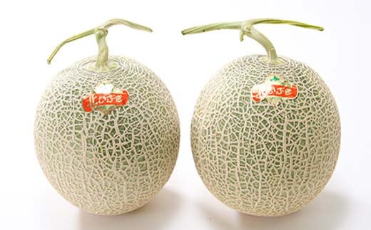 糖度15度前後の北海道赤肉メロン