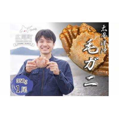 ふるさと納税 広尾町 ボイル毛ガニ　350g　1尾(茹で冷凍)(0102)