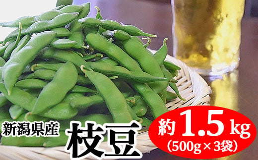 
新潟県産 枝豆 約1.5kg（500g×3袋）【丸茂農園】
