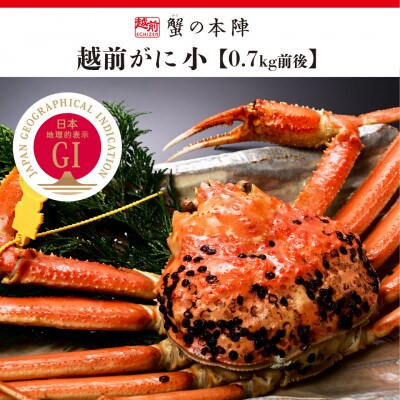 冬の日本海の味　浜茹で【越前がに　小　0.7kg前後】2027年1月発送【配送不可地域：離島・北海道・沖縄】【1735903】