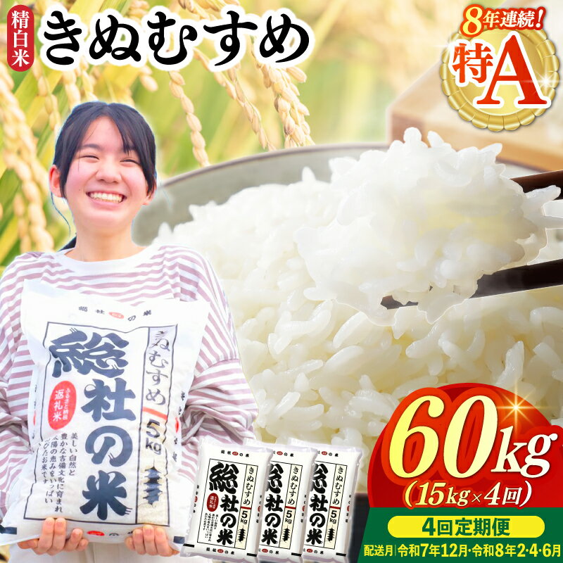 【ふるさと納税】特Aきぬむすめ 米 令和7年産 白米 60kg 定期便（15kg×4回）岡山県産 総社市〔令和7年12月・令和8年2月・4月・6月配送〕25-120-008