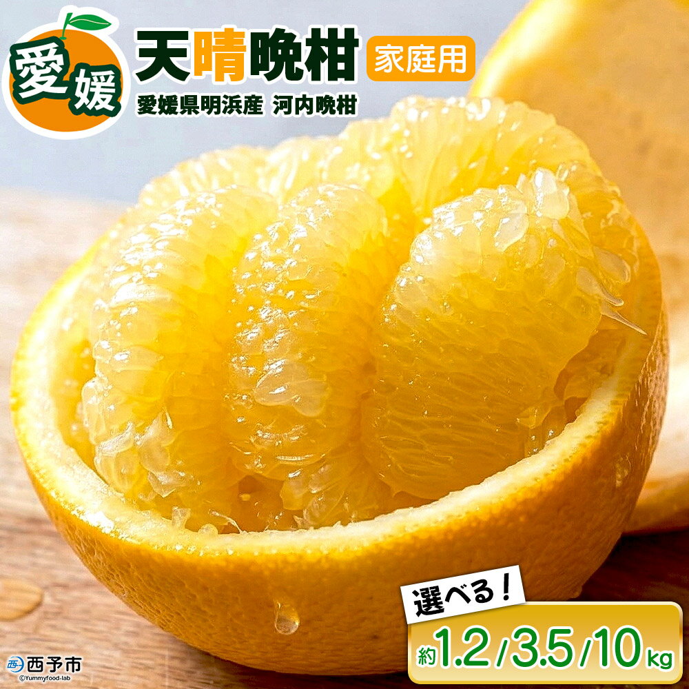 【ふるさと納税】【先行予約】＜天晴晩柑（河内晩柑）家庭用 約1.2kg／3.5kg／10kg 全て ＋300g ＞『2027年4月上旬～5月下旬迄に順次出荷予定』選べる 内容量 果物 柑橘 みかん 和製 グレープフルーツ 食べて応援 特産品 株式会社笑丸 愛媛県明浜産 愛媛県 西予市【常温】