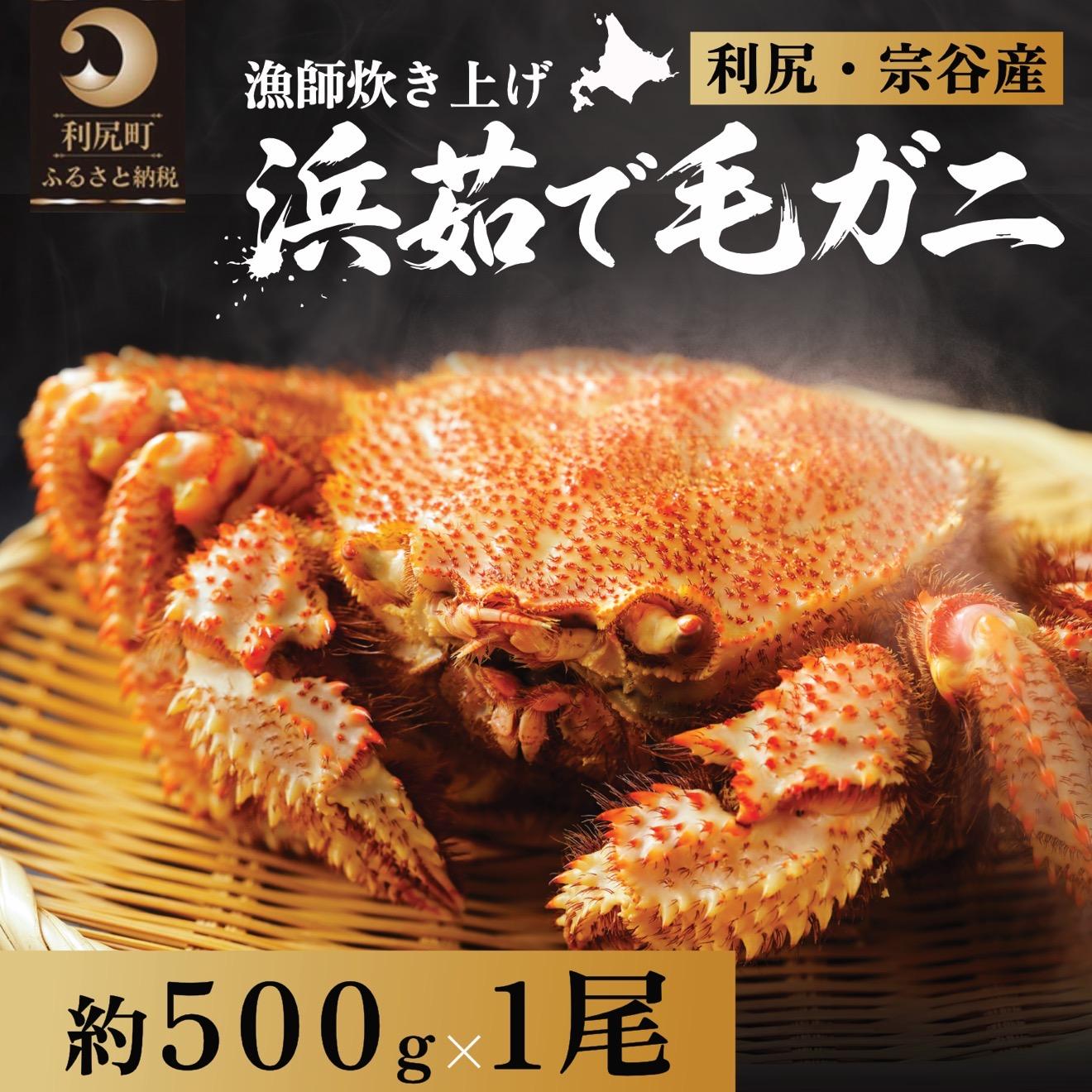 【ふるさと納税】【2026年先行受付】北海道産 浜茹で毛ガニ 500g前後×1尾（未冷凍・チルド配送）利尻・宗谷産【2月より順次出荷】｜毛蟹 蟹 かに カニ味噌 蟹味噌 ボイル 海鮮 魚介 [1060046]