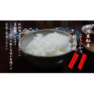 ふるさと納税 村上市 【新米受付・令和8年産米】米ソムリエ板垣 新潟岩船産コシヒカリ5kg&新之助300g NA4032 |  | 01