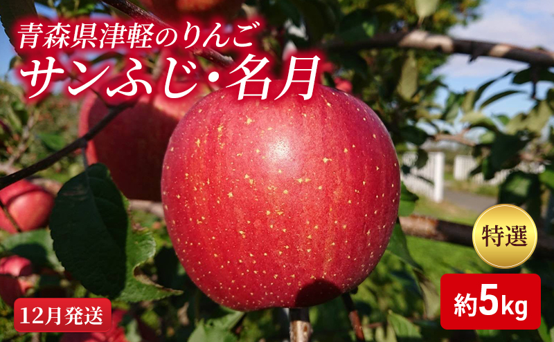 
【12月発送】【里いちみfarm】青森県津軽のりんご　特選「サンふじ・名月」約5kg
