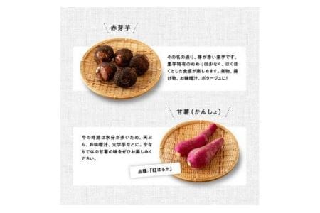 【定期便】産直おすず村 季節の野菜と果物 厳選 詰め合わせセット（小） 全4回【旬野菜 フルーツ 直売所 産地直送 宮崎県産】