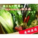 【ふるさと納税】【産地直送】採りたて野菜と昔ながらの手づくり加工品セット 旬の野菜 詰め合わせ 野菜セット 栃木県産 国産 送料無料