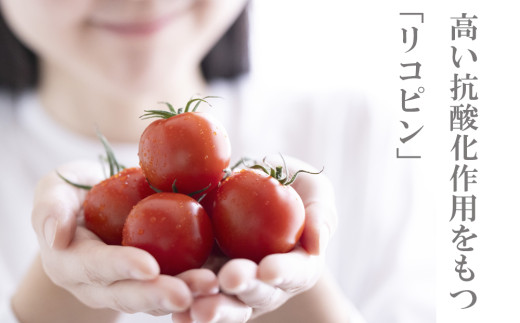 国産トマト100% 食塩無添加・糖度 8 以上 鈴鹿山麓の銘水と豊かな自然が育んだ、中村農園のトマトを100 ％使用した高級濃厚トマトジュース 180ml × 8本）【トマト トマトジュース 無添加 