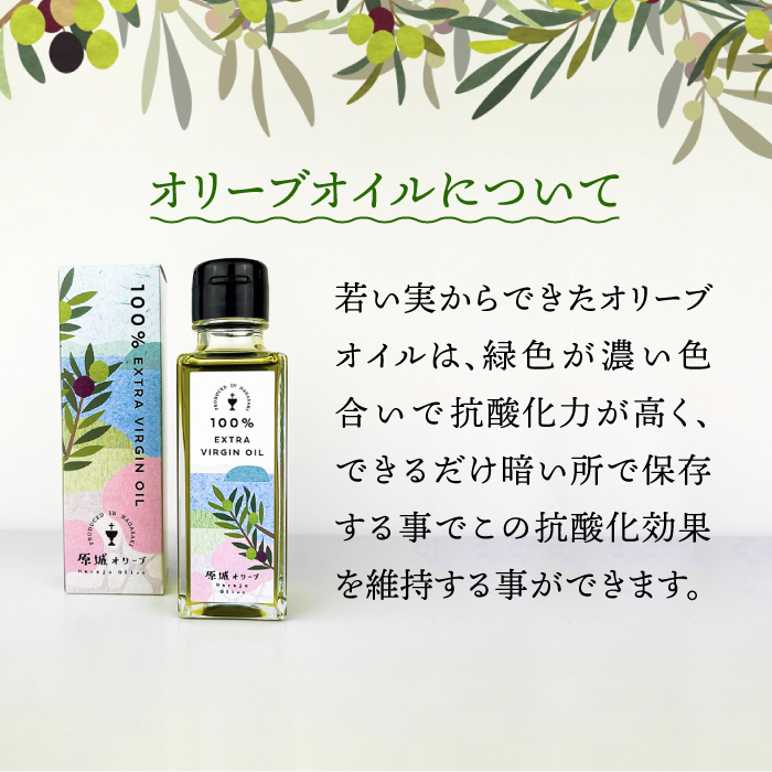【3回定期便】原城オリーブ エクストラヴァージン オイル 100ml 2本 / 調味料 油 オリーブオイル オリーブ / 南島原市 / ミナサポ [SCW050]_イメージ3