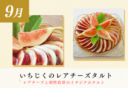 【定期便 3回】スイーツ ドルチェ レアチーズタルト チーズケーキ プリン ぷりん 9～11月