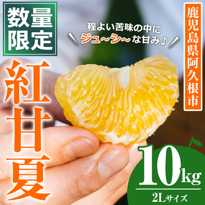 ＜先行予約受付中！2027年3月上旬以降順次発送予定＞数量限定！鹿児島県産 紅甘夏 (10kg・2L) 柑橘 フルーツ 果物 国産 みかん 期間限定 数量限定 ベニアマナツ ミカン 旬 【株式会社土曜日】akn069-10