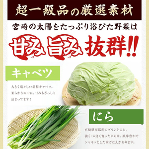 市場で製造直売の餃子！ 12パックセット 餃子 惣菜 おかず