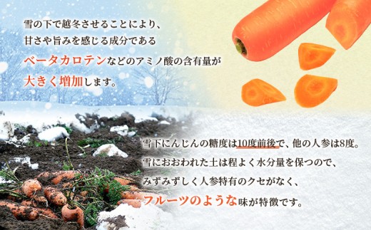 雪下にんじん 4kg