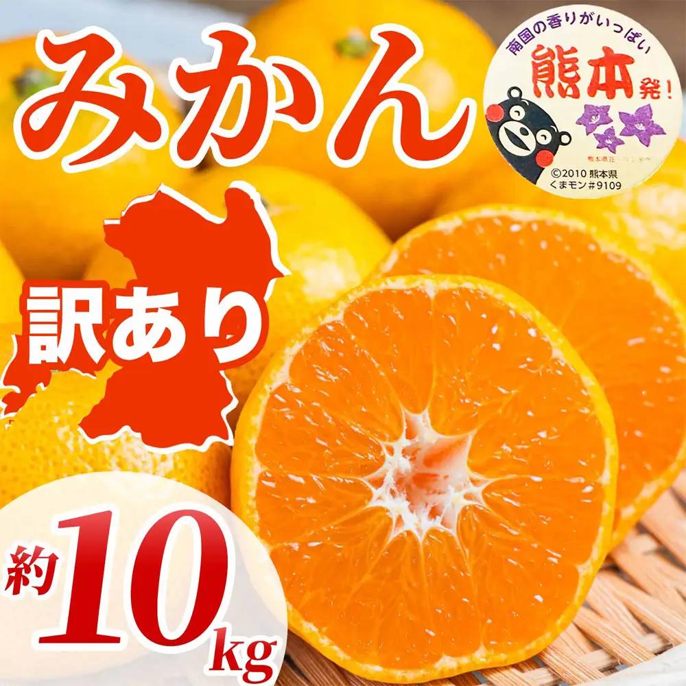 先行予約 訳あり みかん サイズミックス 約10kg（3S～3L）【2026年10月上旬～2027年2月下旬発送予定】