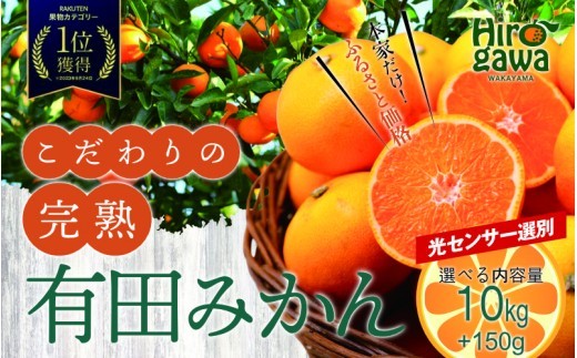 有田 みかん 訳あり 10kg 光センサー 選別 / 温州みかん 有田みかん 甘い 家庭用 和歌山 柑橘 ※2026年12月順次発送 ※北海道・沖縄・離島への配送不可 【nuk004-c-10-decH】