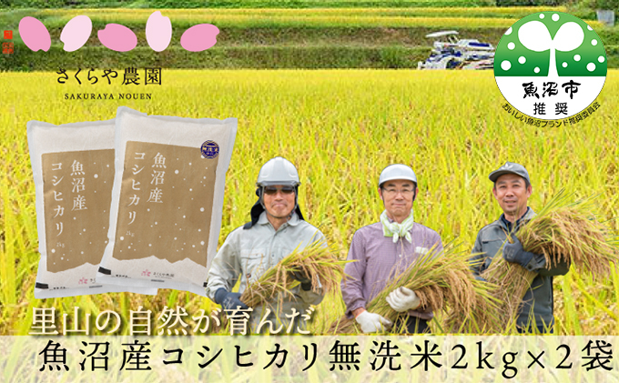 
[№5762-0694]令和6年産 さくらや農園 魚沼産コシヒカリ 無洗米2kg×2
