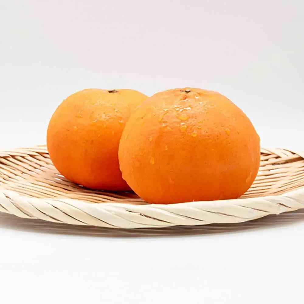 【2027年2月以降順次発送】佐賀県産みかん はまさき約5kg / みかん 蜜柑 果物 フルーツ / リフルット株式会社 [41ABAA022]