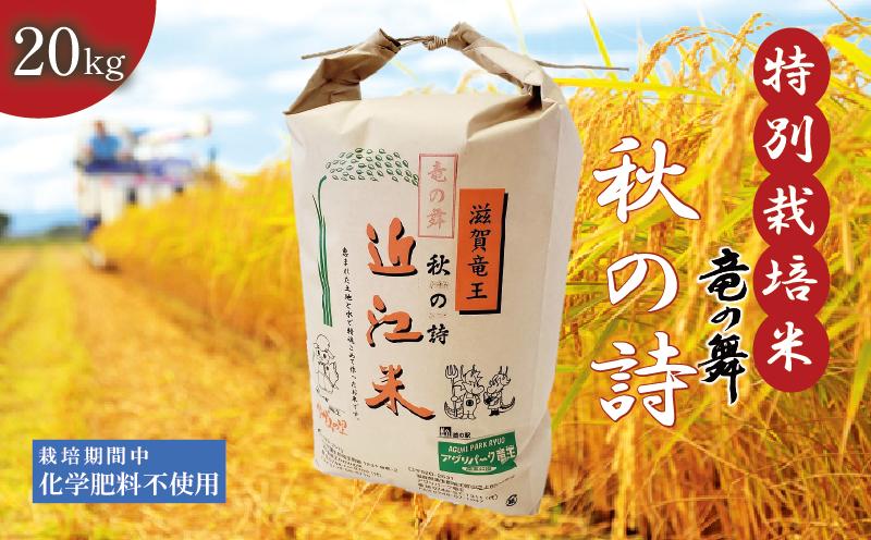 
新米 【令和6年10月中旬より順次発送】 秋の詩 白米 20kg （ 10kg × 2袋） 2024年産 竜の舞 化学肥料不使用 特別栽培米 国産 安心 安全 近江米 米 お米 白米 お弁当 玄米 産地直送 滋賀県 竜王町 送料無料
