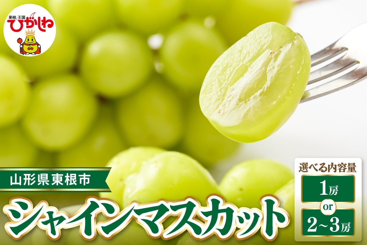 
            【令和8年産先行受付】 ≪内容量が選べる≫　東根市産シャインマスカット 【約700g(1房入)・約1.2～1.3kg(2～3房入)】 ベジフルひがしね 山形県 東根市 hi104-001-o
          