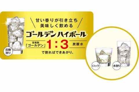 BE175宝焼酎「ゴールデン」25度 360ml✕12本入