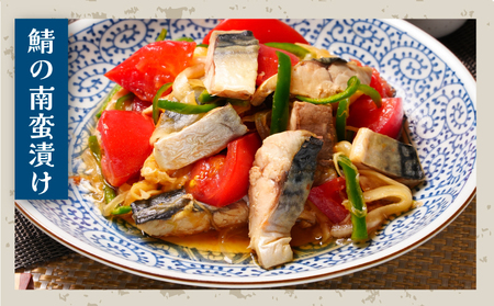 適塩さば 純米酒仕込み 5kg 鯖 鯖 鯖 鯖 鯖 エドノフーズ