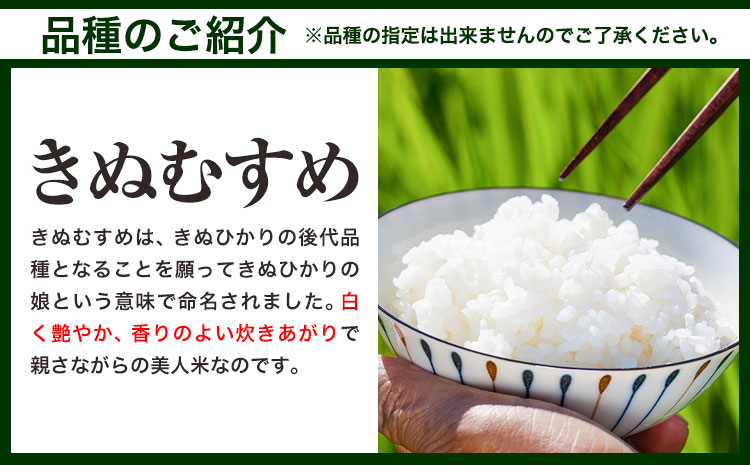 【令和8年6月発送】【先行予約】令和7年産 30kg 米 予約 ふるさと米 備中笠岡 人気品種をお届け！ 国産 ヒノヒカリ にこまる きぬむすめ お米 ブランド米 おにぎり 弁当 単一原料米 お取り寄